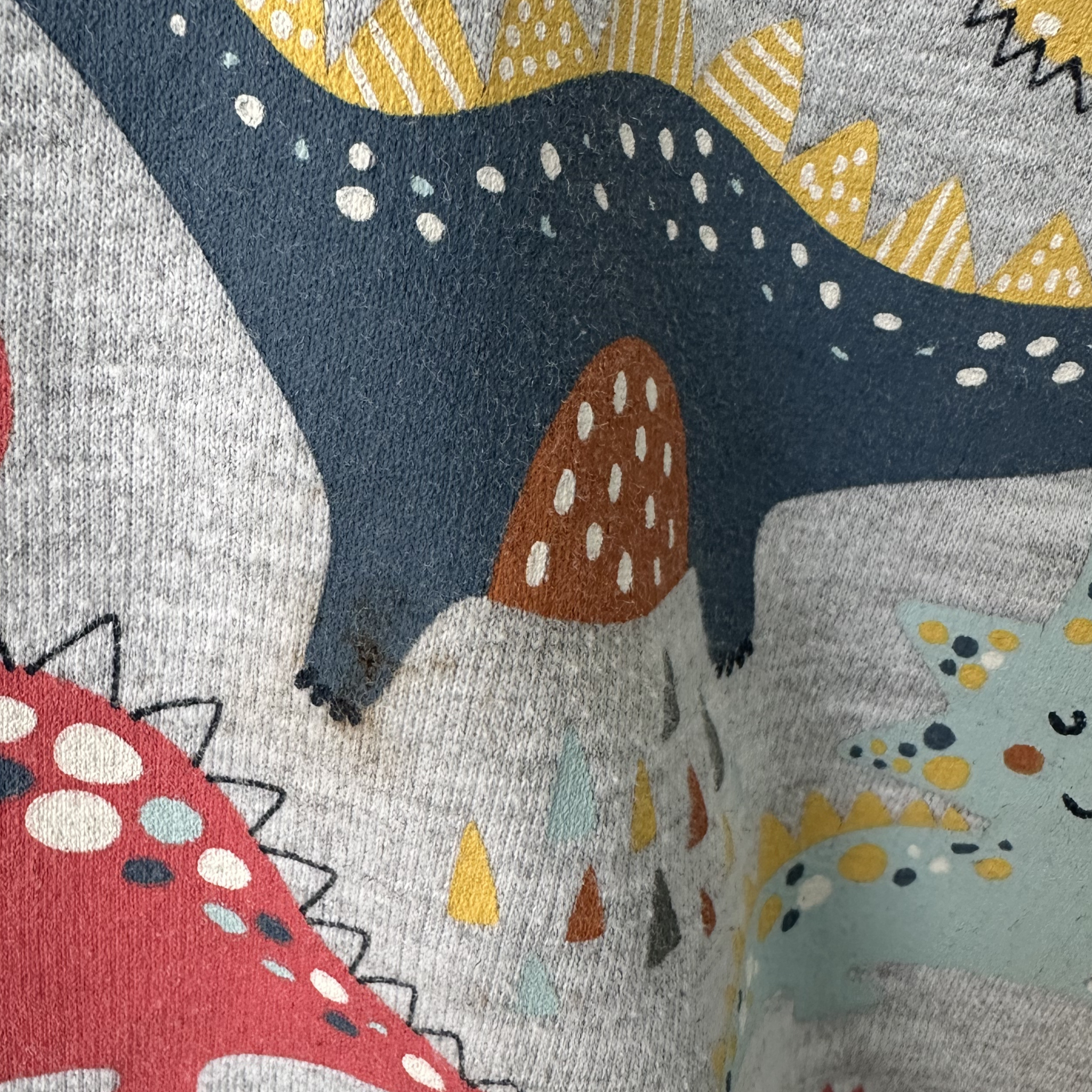 Ensemble 2 pièces dino | Minimi | 18 mois | Imparfait*